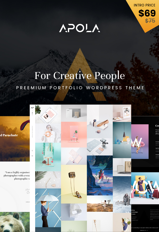 Apola - Photography Portfolio WordPress Theme - 1