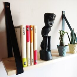 Leather Book Shelf