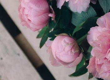 570x424_img5 570x424_img5