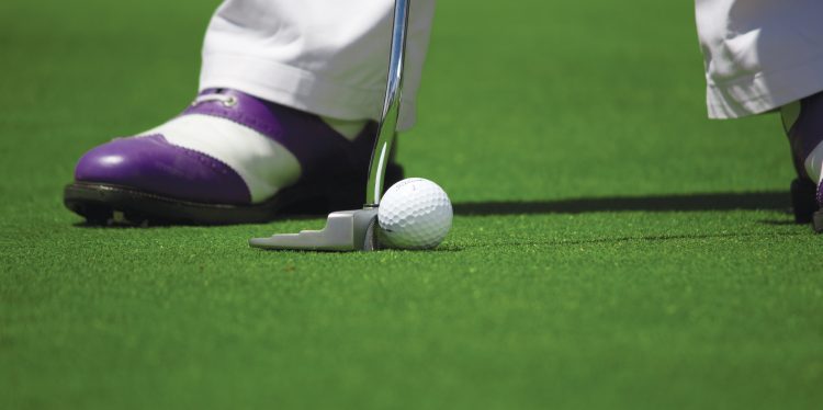 Vestibulum ante ipsum primis in faucibus orci